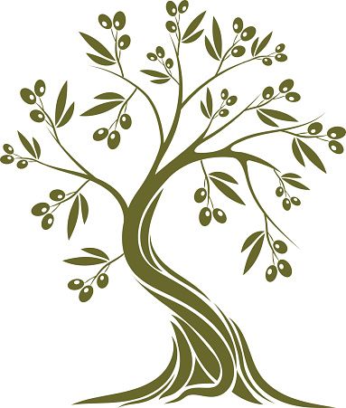 383x451 Olive Tree Vector Art Illustration Tree Vector Art