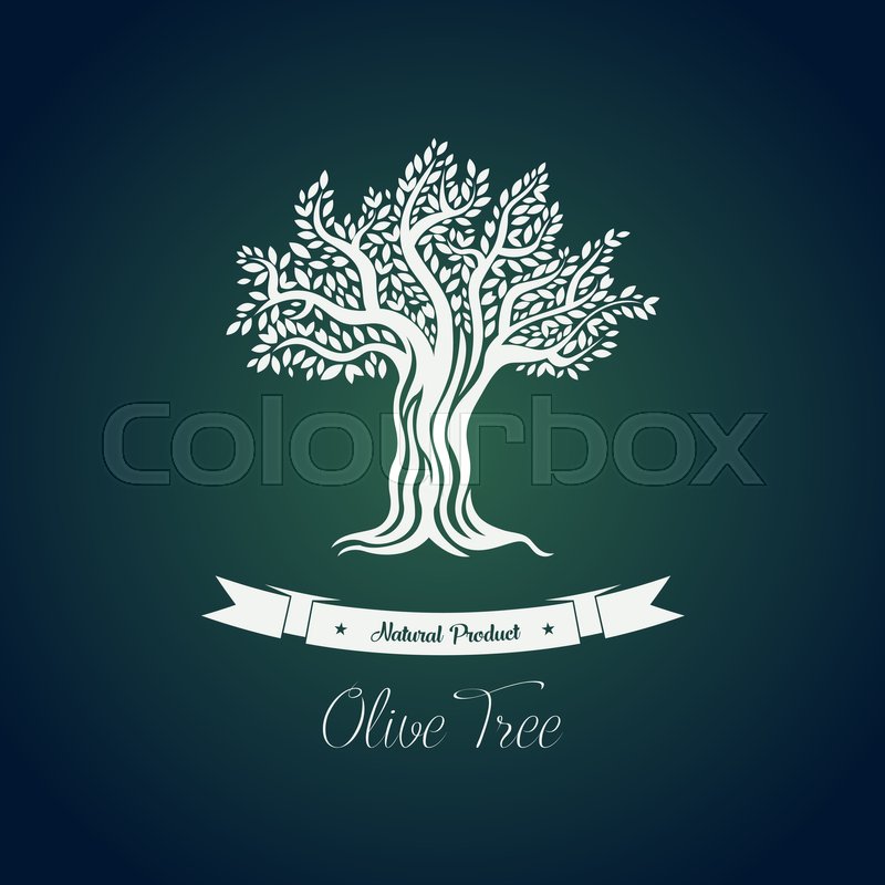 800x800 Leaf On Branches Of Olive Oil Tree Vector Drawing. Greece Olive