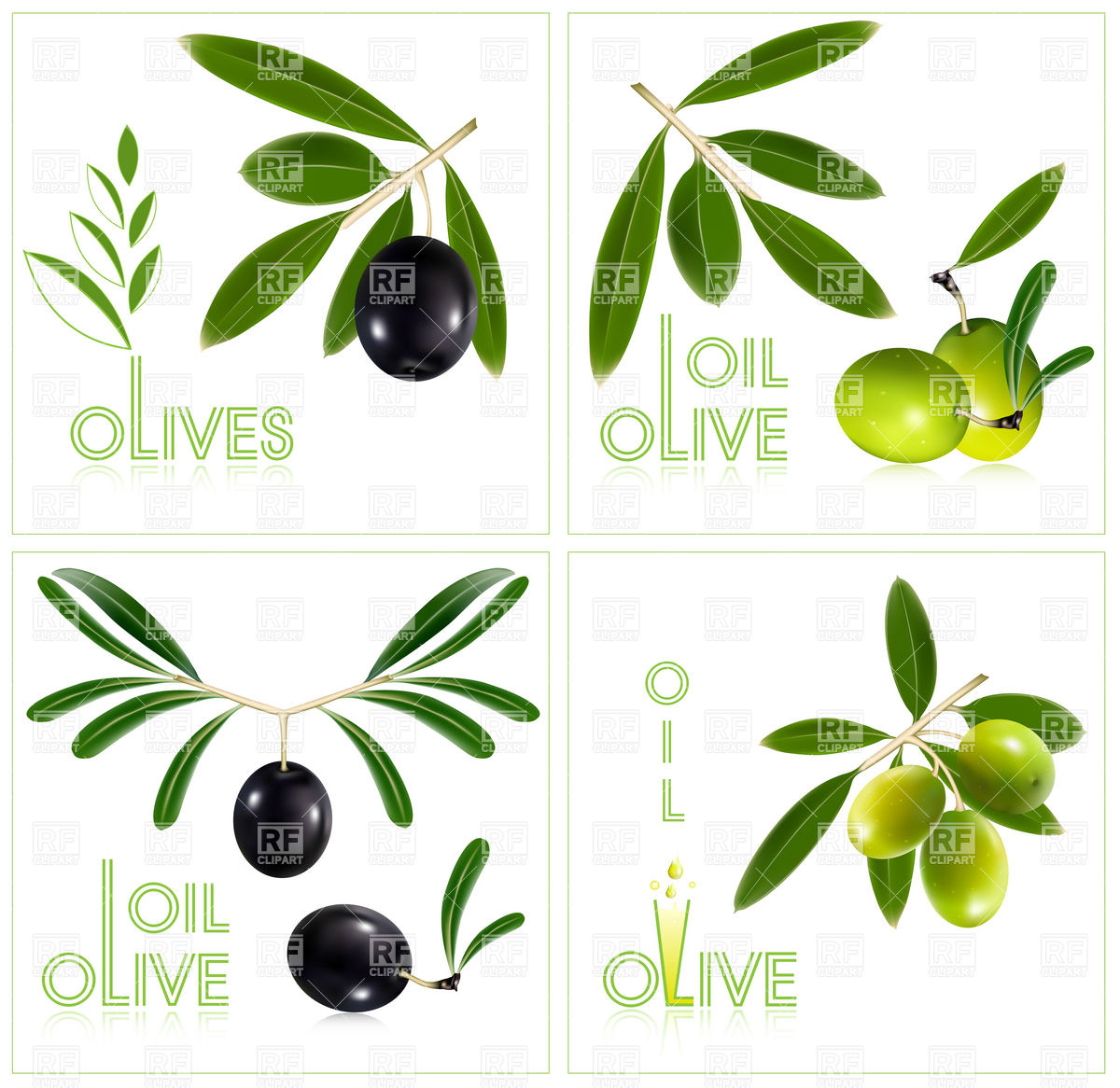 1200x1166 Green And Black Olives With Leaves Vector Image Vector Artwork