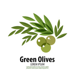 240x240 Olive Oil Photos, Royalty Free Images, Graphics, Vectors Amp Videos