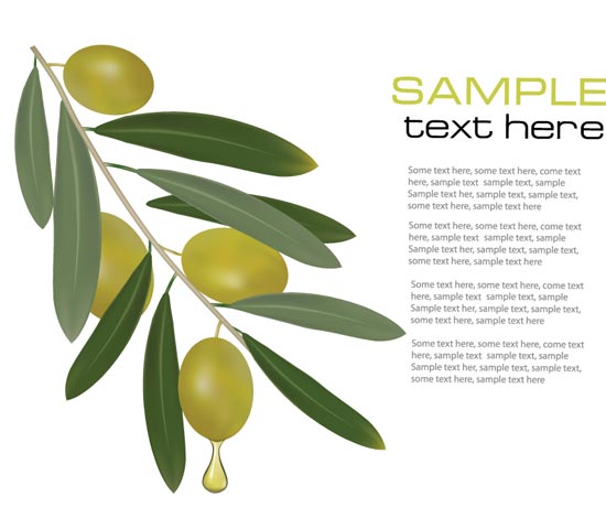 550x460 Olive Branch Vector Cards