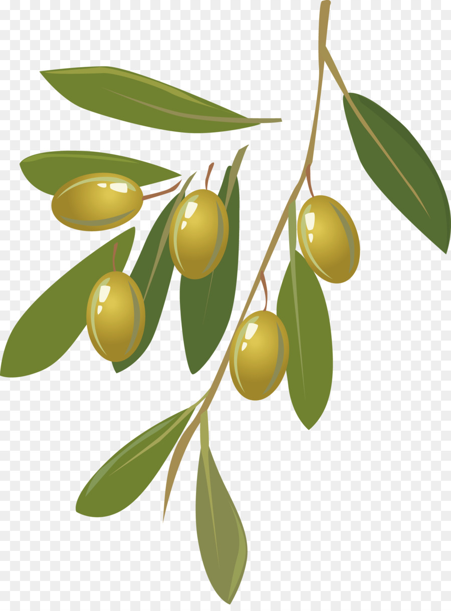 900x1220 Olive Oil Fruit Clip Art