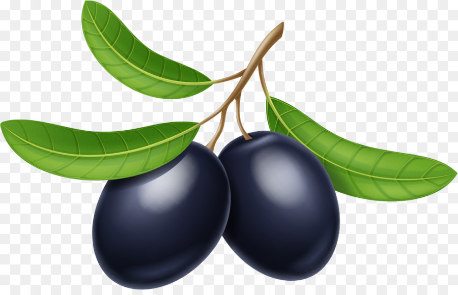 900x580 Olive Oil Olive Branch