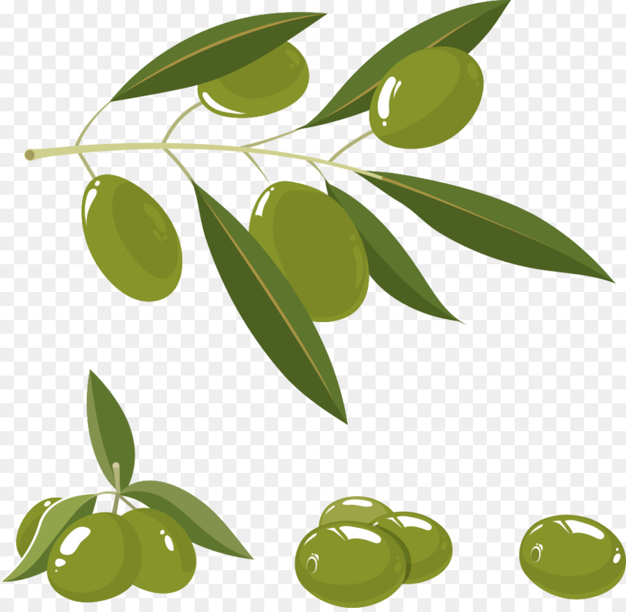 900x880 Olive Oil Olive Branch