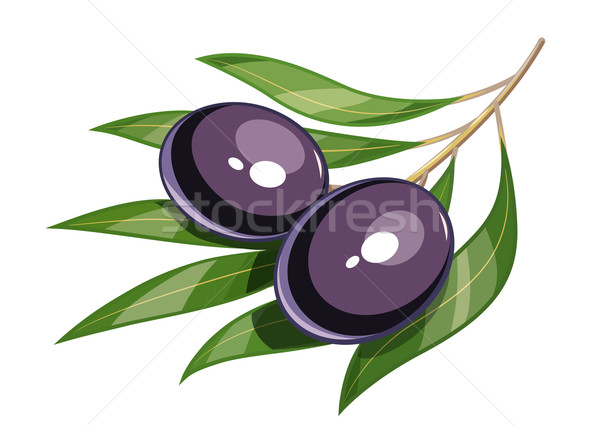 600x425 Olive Tree Vector Stock Vectors, Illustrations And Cliparts