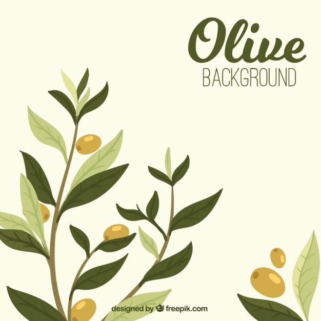 626x626 Download Vector