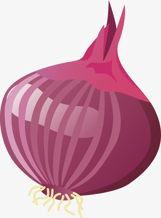 650x877 Onion Vector, Vegetables, Meals, Green Food Png And Vector For