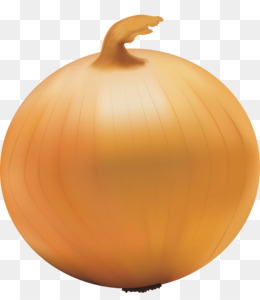 260x300 Onion Vector Png Amp Onion Vector Transparent Clipart Free Download