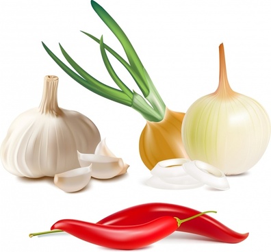 396x368 Onion Free Vector Download (143 Free Vector) For Commercial Use