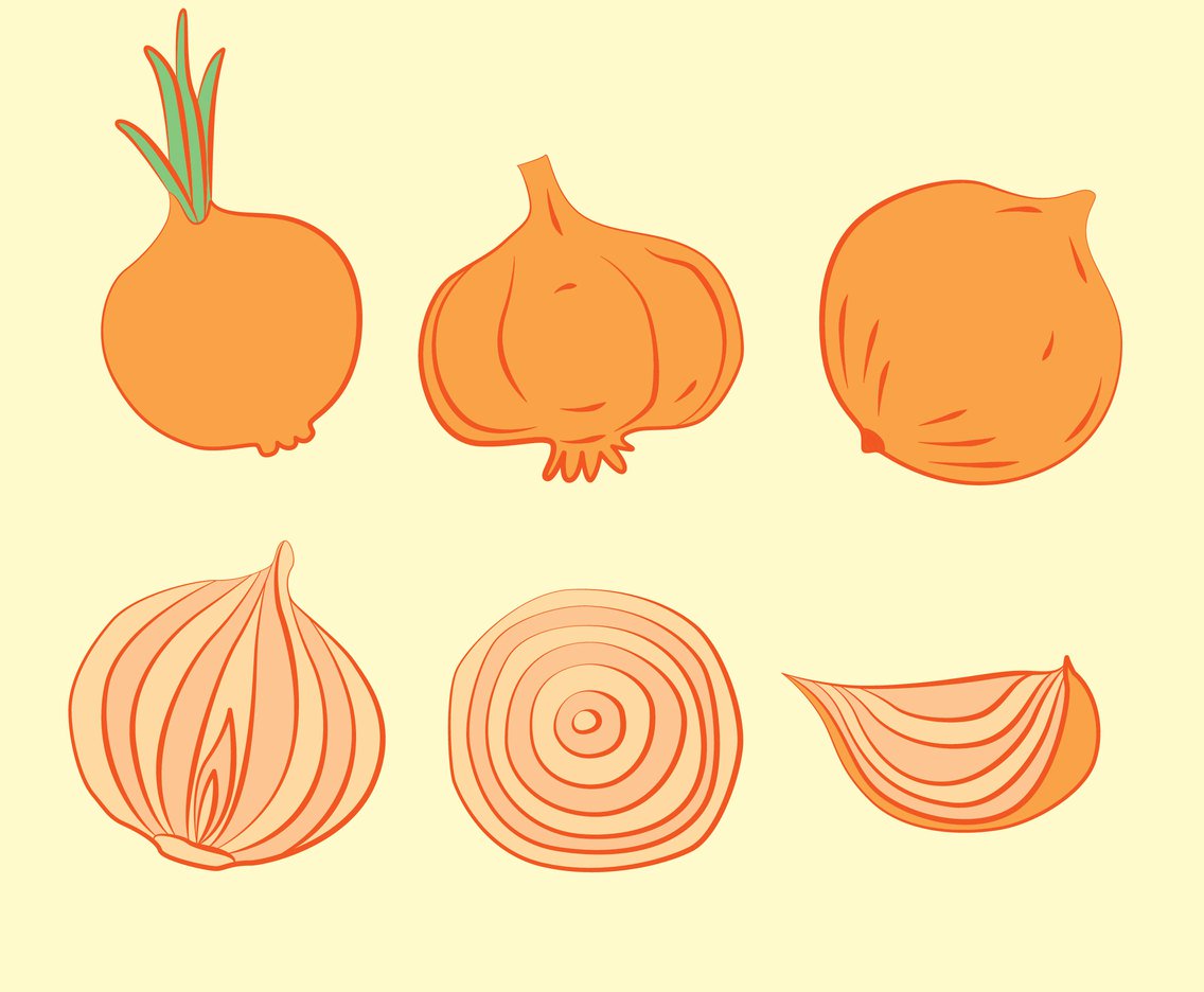 1136x936 Hand Drawn Onion Vector Vector Art Amp Graphics
