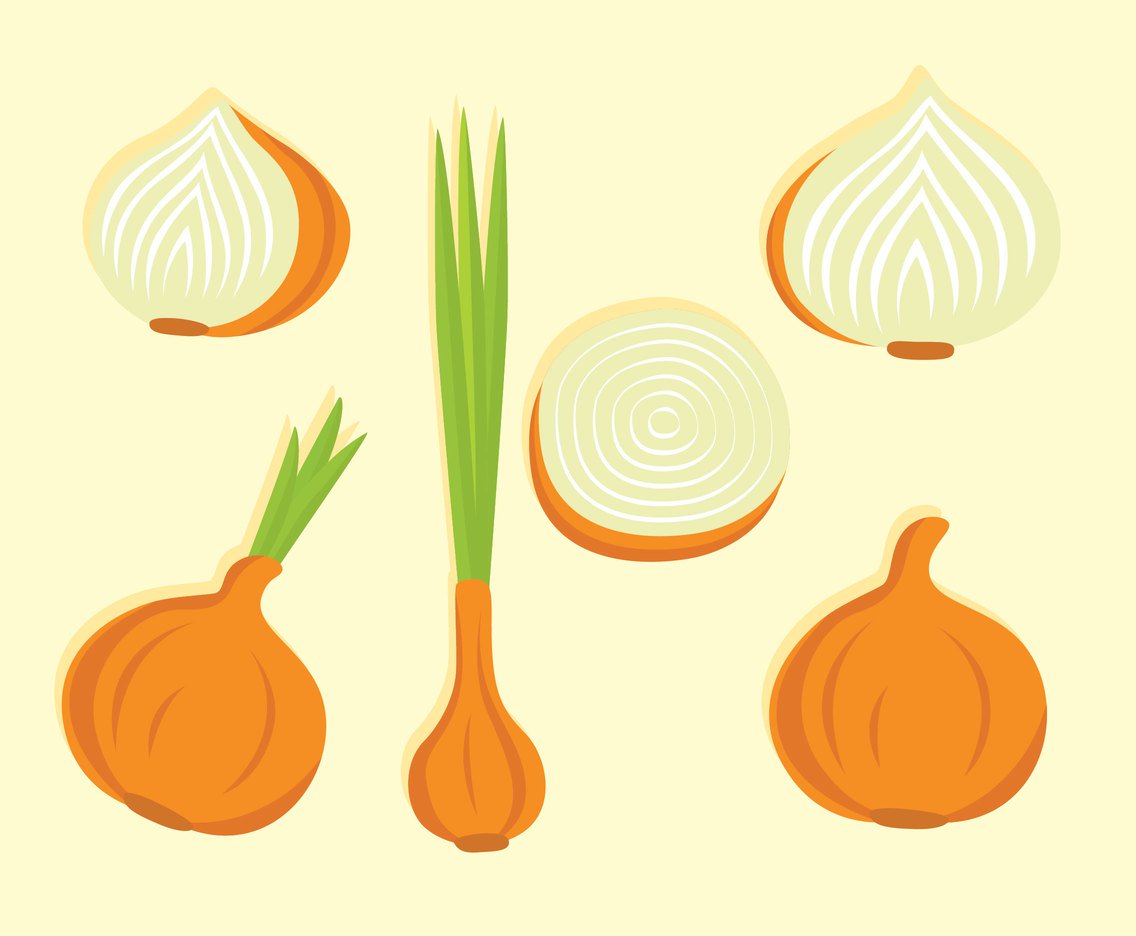 1136x936 Nice Onion Vector Set Vector Art Amp Graphics