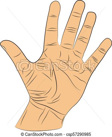 386x470 The Open Hand Vector Drawing Illustration.