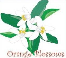 253x222 Free Orange Blossom Clipart