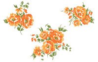 199x126 Free Download Of Orange Blossom Vector Graphics And Illustrations