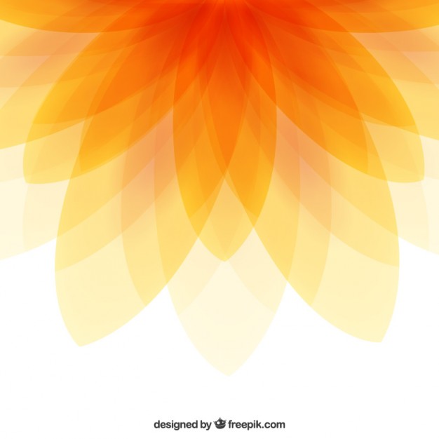 626x626 Orange Blossom Vectors, Photos And Psd Files Free Download