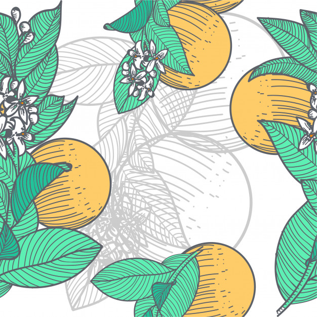 626x626 Seamless Background Orange Blossom Vector Premium Download