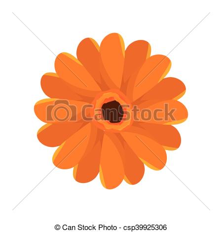 450x470 Yellow Floral Blossom. Nature Beauty Flower. Vector Illustration.