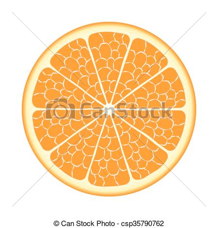450x470 Cut Orange Fruit. Vector Eps10. Cut Ripe Orange Fruit Closeup