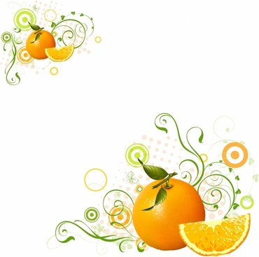 370x368 Orange Fruit Free Vector Download (4,210 Free Vector) For