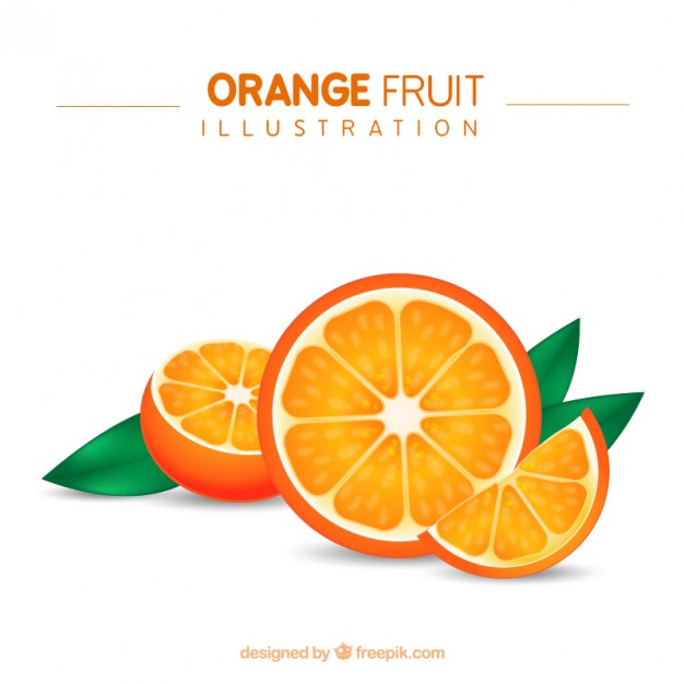 626x626 Orange Fruit Illustration Vector Free Download