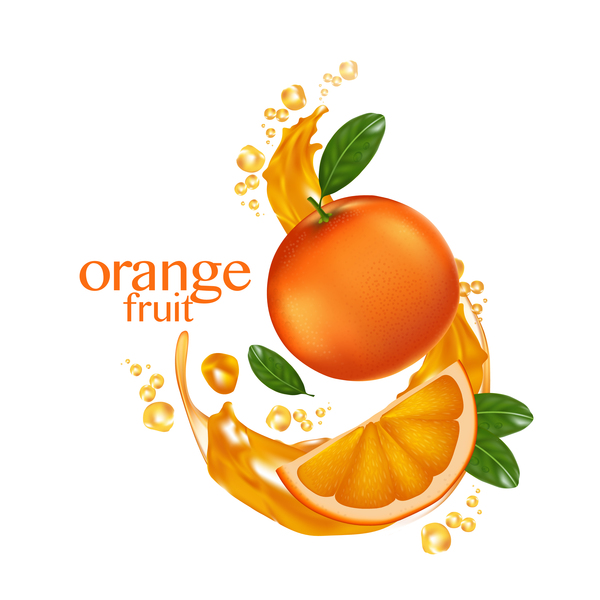 600x600 Orange Fruit Vector Illustration 02 Free Download