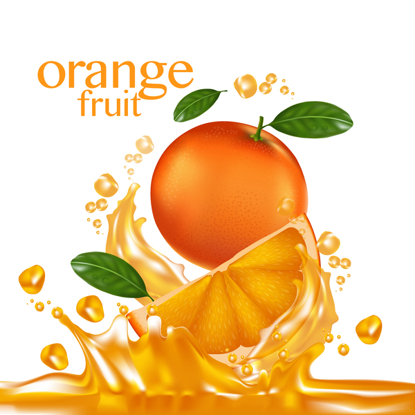 600x600 Orange Fruit Vector Illustration 04 Free Download