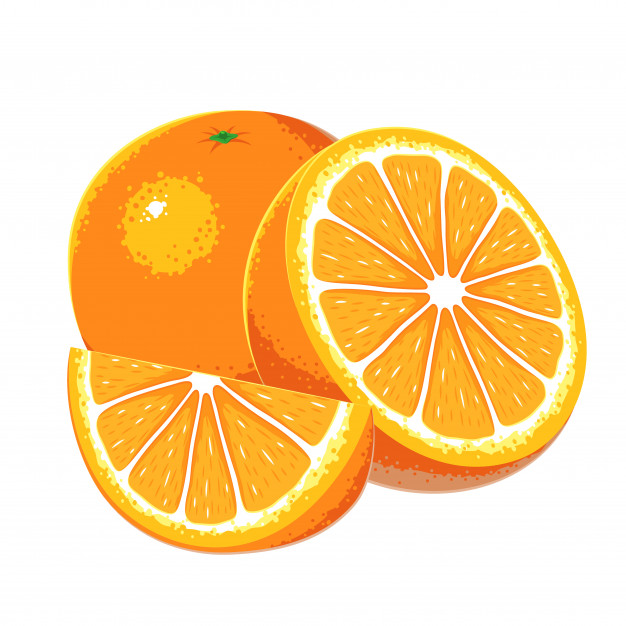 626x626 Orange Fruits Vector Vector Premium Download