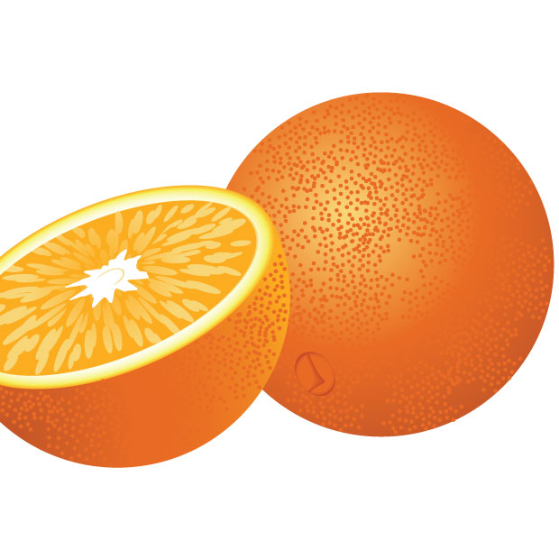620x620 Free Download Of Fresh Orange Fruit Vector Graphic