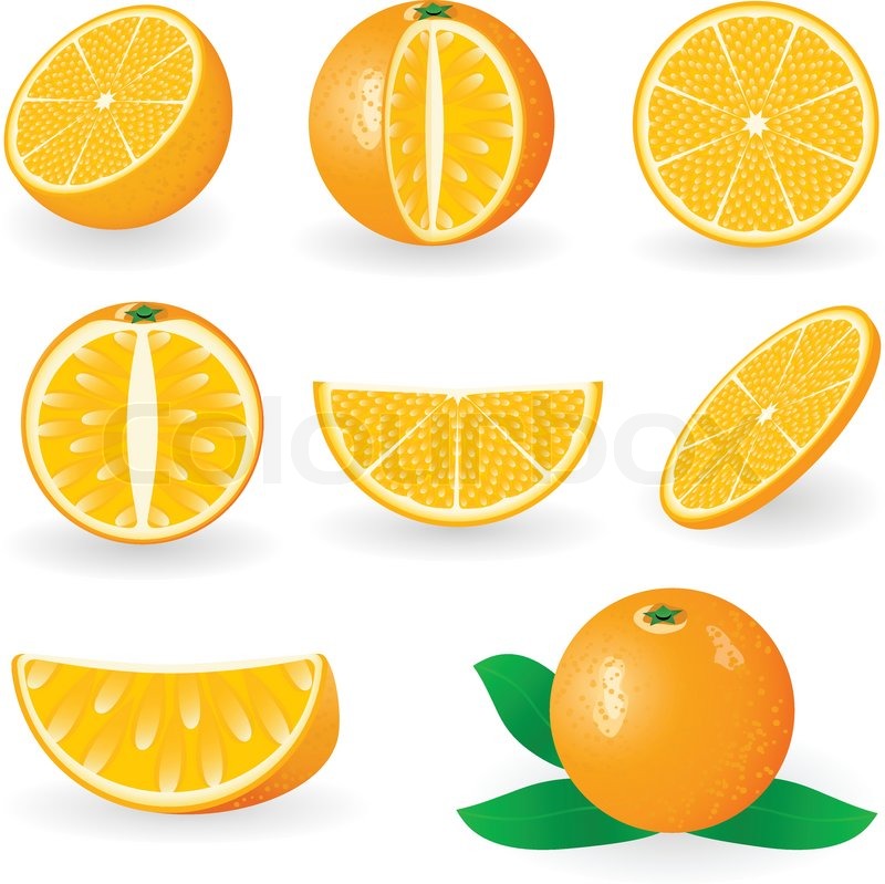 800x799 Vector Illustration Of Orange Fruit Stock Vector Colourbox