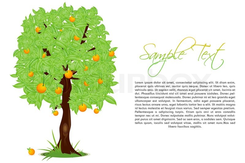 800x533 Illustration Of Orange Tree With Sample Text On Isolated