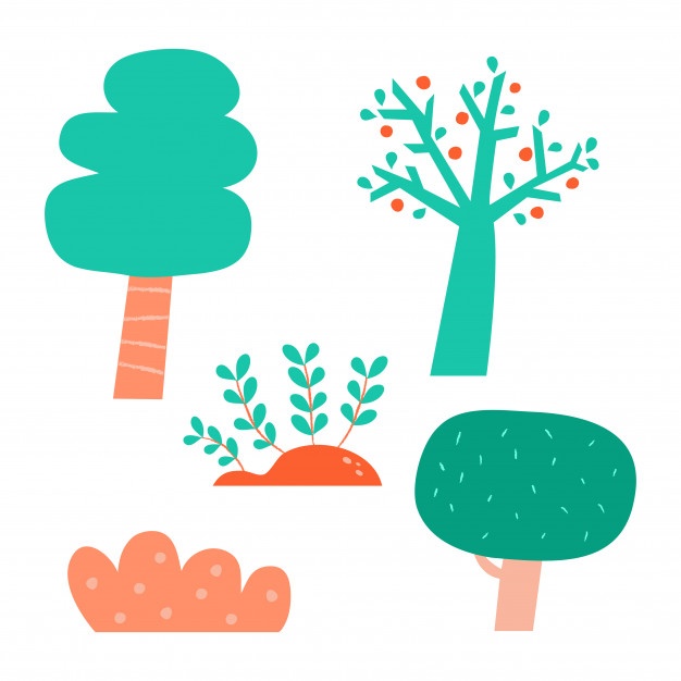 626x626 Orange Tree Vectors, Photos And Psd Files Free Download
