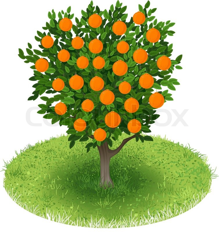 754x800 Orange Tree In Green Field Stock Vector Colourbox