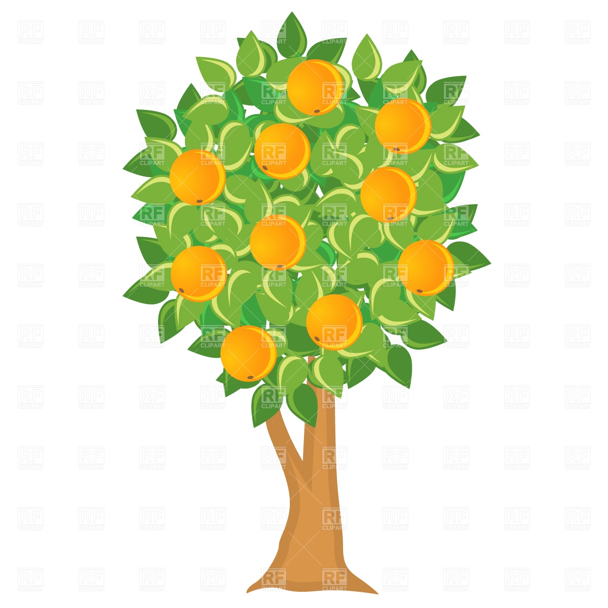 1200x1200 Orange Tree Vector Image Vector Artwork Of Plants And Animals
