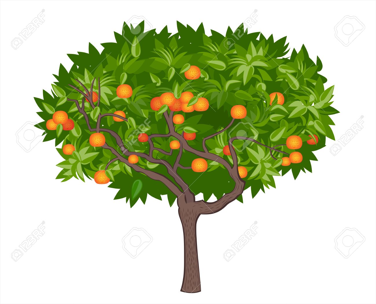 1300x1053 Orange Tree Clipart, Explore Pictures