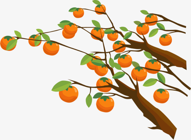 650x478 Vector Painted Persimmon Tree, Tree Vector, Vector, Hand Painted