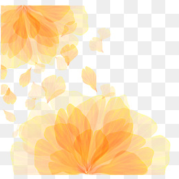 260x260 Orange Flower Png, Vectors, Psd, And Clipart For Free Download