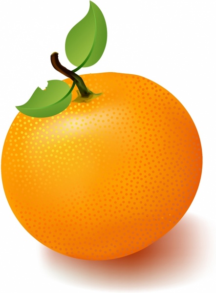 442x600 Orange Free Vector In Adobe Illustrator Ai ( .ai ), Encapsulated