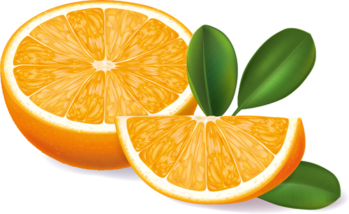 500x306 Orange Segments Creative Vector Free Download