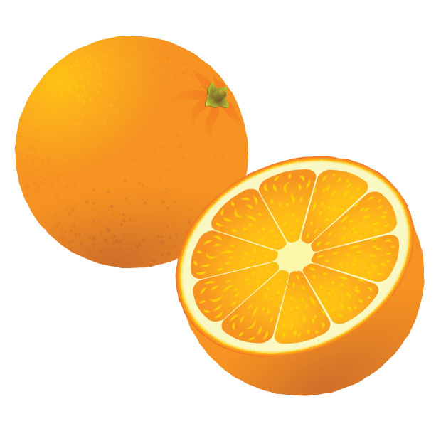 620x620 Oranges Vector Art