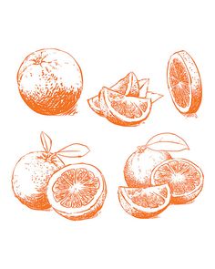 236x295 18 Best Etsy Fruit Clipart Hand Drawn Collection Of Fruits