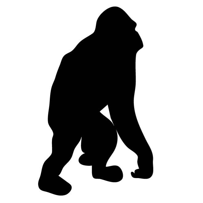 660x660 Free Orangutan Vectors 3 Downloads Found