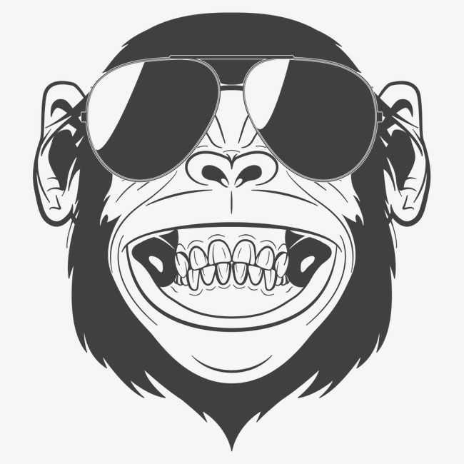 Orangutan Vector at GetDrawings | Free download