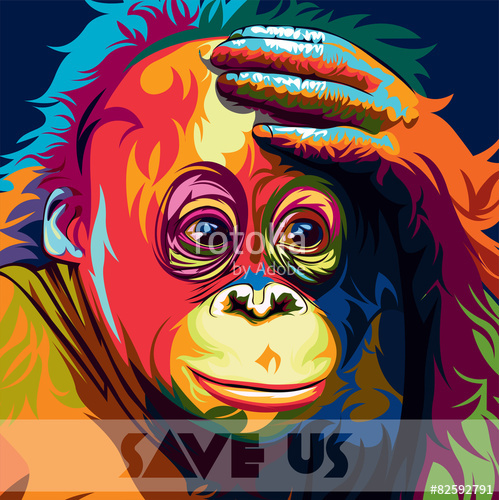 499x500 Orangutan Colour Vector Stock Image And Royalty Free Vector Files