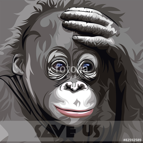 500x500 Orangutan Vector Stock Image And Royalty Free Vector Files On
