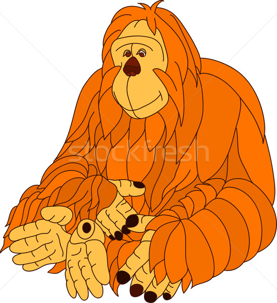 548x600 Orangutan Vector Illustration Pavel Bortel (Pavelmidi) ( 1323825