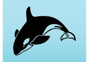 286x200 Orca Free Vector Art