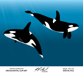 350x308 Orca Whale Digital Clip Art