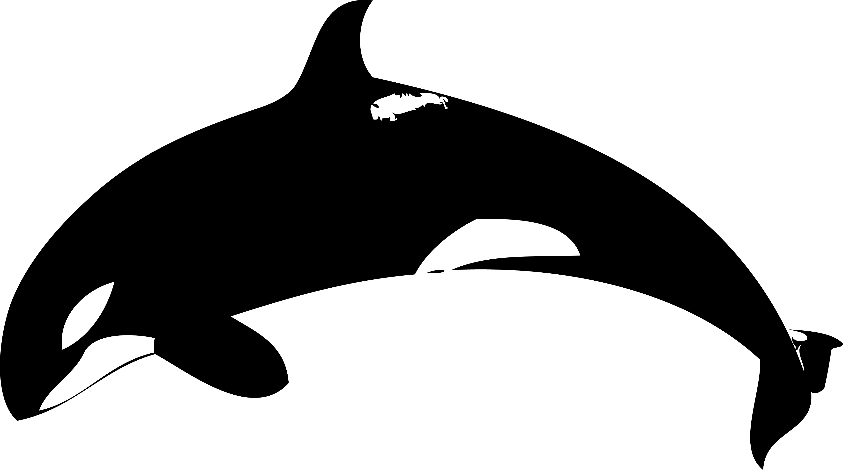 3485x1946 Orca Clipart Cute