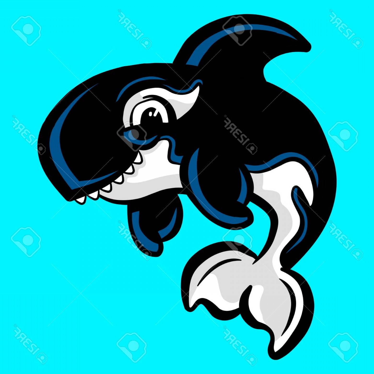 1560x1560 Photostock Vector Killer Whale Orca Vector Arenawp