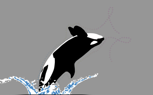 600x372 Orca Vector By Berkdes